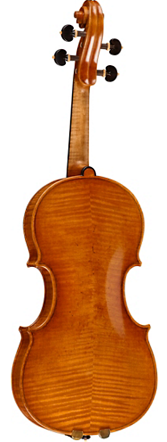 Ren violin